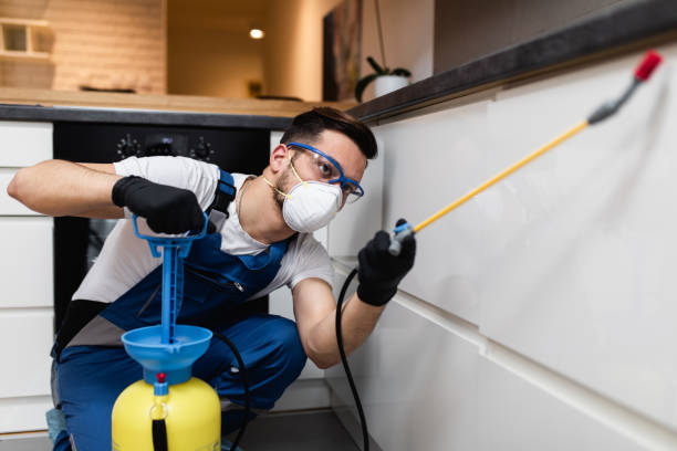 Best Mosquito Control Services  in Branford Center, CT