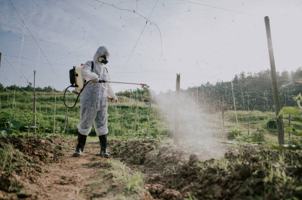 Best Commercial Pest Control Services  in Branford Center, CT