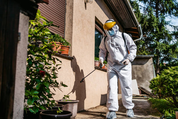 Professional Pest Control in Branford Center, CT