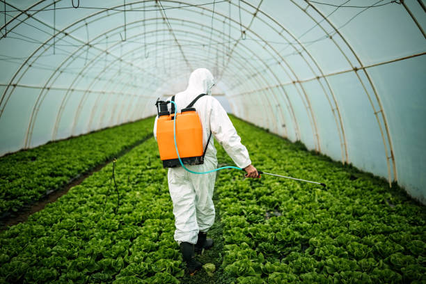 Best Best Pest Control Companies  in Branford Center, CT