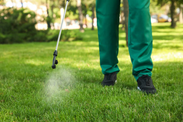 Best Affordable Pest Control Services  in Branford Center, CT