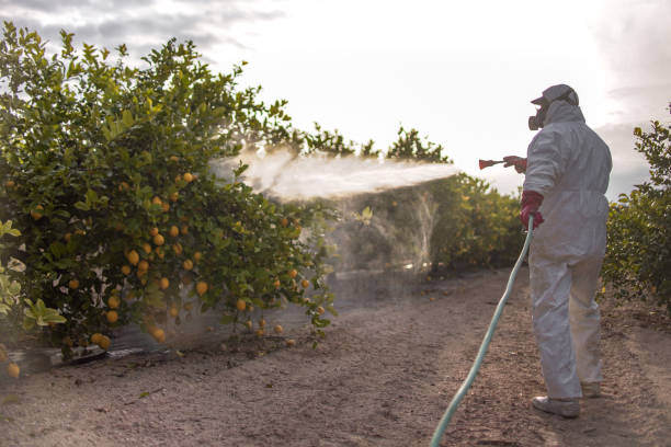 Best Emergency Pest Control  in Branford Center, CT