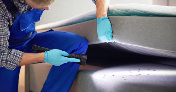 Best Local Pest Control Services  in Branford Center, CT