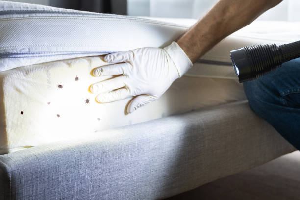 Best Residential Pest Control  in Branford Center, CT