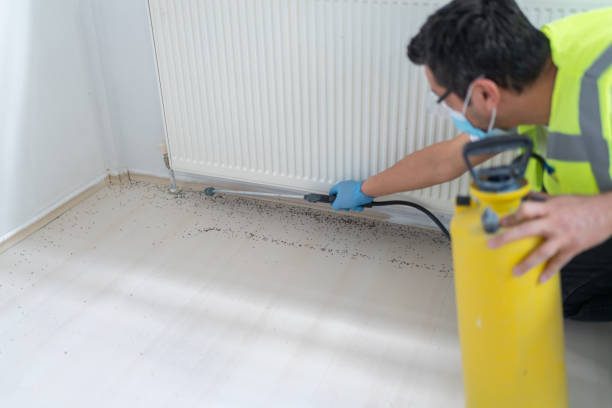 Best Cockroach Control Services  in Branford Center, CT