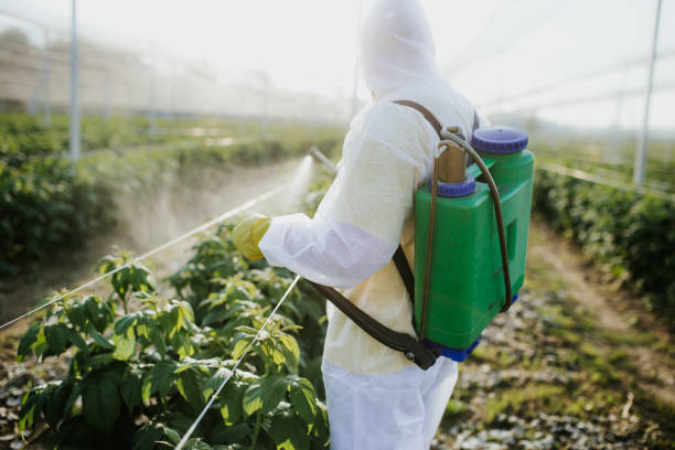 Best Affordable Pest Control Services  in Branford Center, CT
